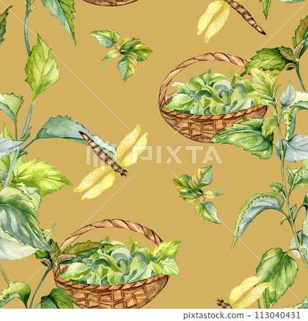 Nettle herbal plant with basket watercolor seamless pattern isolated on beige. Illustration of stinging plant and dragonfly hand drawn. Print of useful herb. Design for textile, package, wallpaper Nettle herbal plant with basket watercolor seamless pattern isolated on beige. Illustration of stinging plant and dragonfly hand drawn. Print of useful herb. Design for textile, package, wallpaper 113040431