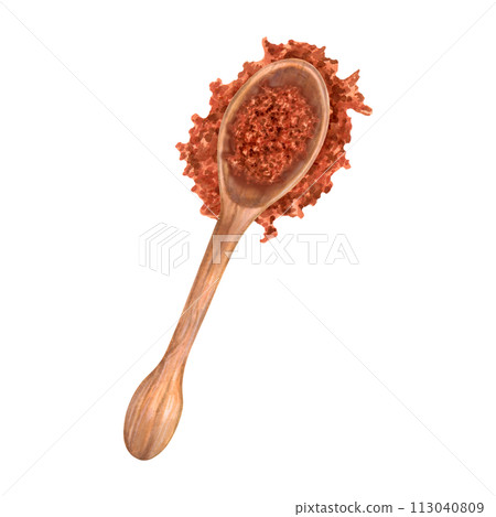 Wooden spoon with ground crumbly coffee or cocoa. Coffee powder from beans with Robusta and Arabica flavors. Illustration with watercolor and marker. Top view. Coffee day.Hand drawn isolated art. Wooden spoon with ground crumbly coffee or cocoa. Coffee powder from beans with Robusta and Arabica flavors. Illustration with watercolor and marker. Top view. Coffee day.Hand drawn isolated art. 113040809