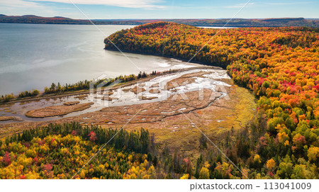 Vibrant trees and landscape on East Coast of Atlantic Ocean. Quebec, Canada Vibrant trees and landscape on East Coast of Atlantic Ocean. Quebec, Canada 113041009