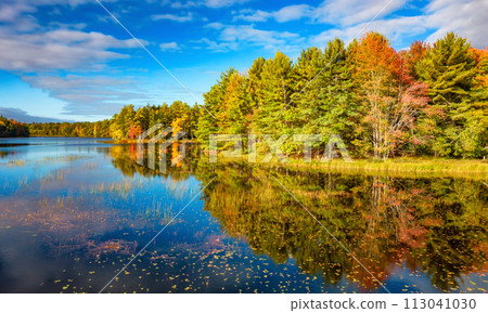 Vibrant trees and landscape by the lake. Nova Scotia, Canada 113041030