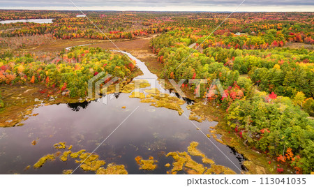 Vibrant trees and landscape by the lake. Nova Scotia, Canada 113041035