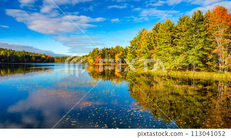 Vibrant trees and landscape by the lake. Nova Scotia, Canada 113041052