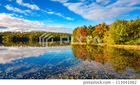Vibrant trees and landscape by the lake. Nova Scotia, Canada 113041062