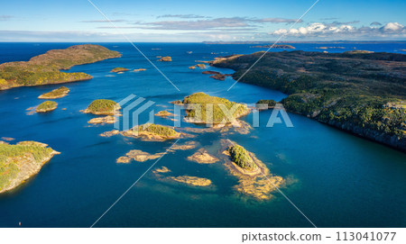 Rocky Shore on East Coast of Atlantic Ocean. Aerial Nature Background. 113041077