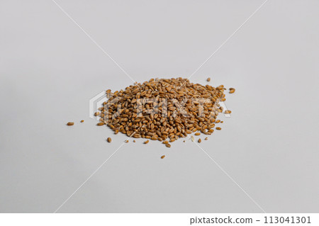 wheat grains isolated on white background represents the wheat food crisis 2023, Concept of food crisis in Europe. wheat grains isolated on white background represents the wheat food crisis 2023, Concept of food crisis in Europe. 113041301