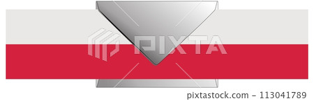 Poles will vote during the presidential election by correspondence. 113041789