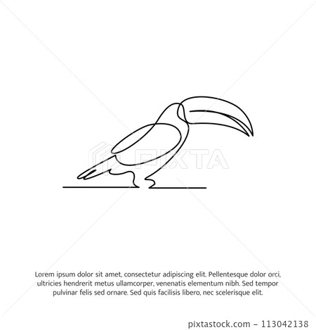 Toucan bird one continuous line drawing. Cute decoration hand drawn elements. Vector illustration of minimalist style on a white background. Toucan bird one continuous line drawing. Cute decoration hand drawn elements. Vector illustration of minimalist style on a white background. 113042138