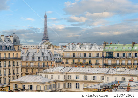 A vista of Paris featuring the iconic Eiffel Tower rising above classic rooftops under a cloudy sky. Paris, France 113042605