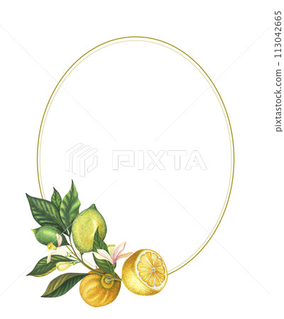 Watercolour frame with blooming lemon branch with leaves, flowers, green and yellow lemons and lime. Hand painted yellow fruits and flower isolated on white background. Fresh citrus illustration for 113042665