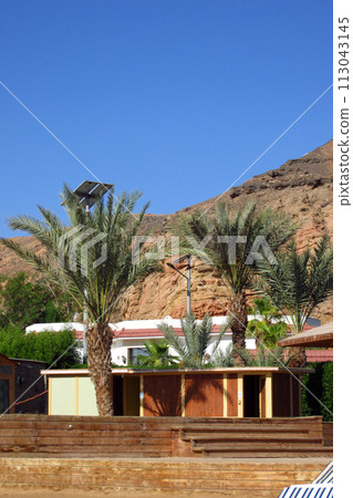Egyptian palm trees near the old city of Sharm El Sheikh 113043145