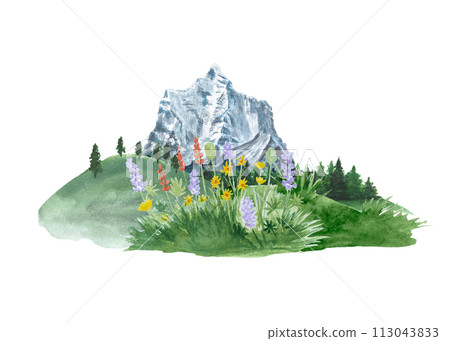 Watercolor composition of wild flowers, hills, trees and a mountain in a natural landscape 113043833