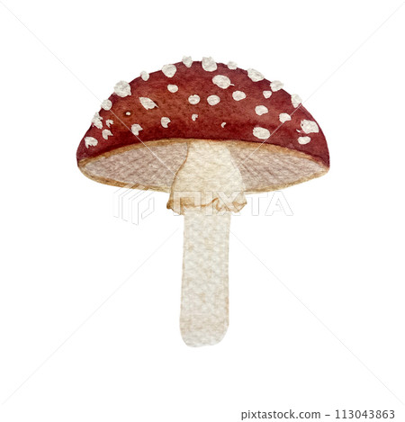 Watercolor hand drawn fly agaric with red cap with white spots illustration isolated on white Watercolor hand drawn fly agaric with red cap with white spots illustration isolated on white 113043863