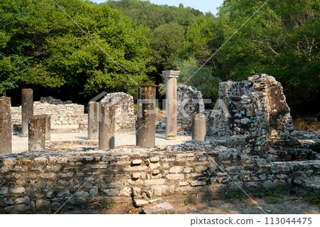 Ruins of Great Basilica in Butrint National Park, Buthrotum, Albania. Triconch Palace at Butrint Life and death of an ancient Roman house Historical medieval Venetian Tower surrounded. High quality Ruins of Great Basilica in Butrint National Park, Buthrotum, Albania. Triconch Palace at Butrint Life and death of an ancient Roman house Historical medieval Venetian Tower surrounded. High quality 113044475