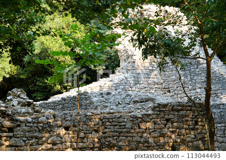 Ruins of Great Basilica in Butrint National Park, Buthrotum, Albania. Triconch Palace at Butrint Life and death of an ancient Roman house Historical medieval Venetian Tower surrounded. High quality 113044493