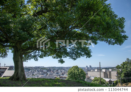 View from Shimizugaoka Park, Shimizugaoka, Minami Ward, Yokohama City, Kanagawa Prefecture 113044744