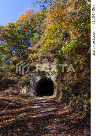 群馬縣安中市的秋天,秋葉的 Abt 路,歷史悠久的隧道 群馬縣安中市的秋天,秋葉的 Abt 路,歷史悠久的隧道 113044868