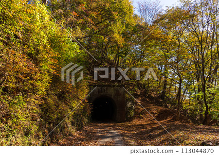 群馬縣安中市的秋天,秋葉的 Abt 路,歷史悠久的隧道 群馬縣安中市的秋天,秋葉的 Abt 路,歷史悠久的隧道 113044870