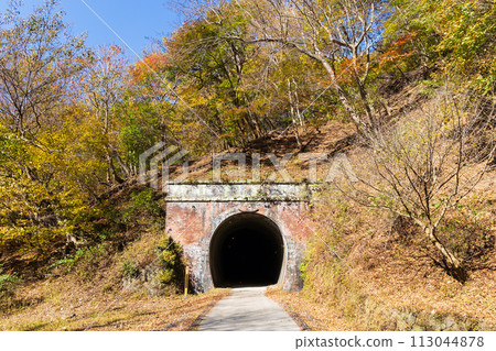 Autumn in Annaka City, Gunma Prefecture, Abt Road with autumn leaves, historic tunnel Autumn in Annaka City, Gunma Prefecture, Abt Road with autumn leaves, historic tunnel 113044878