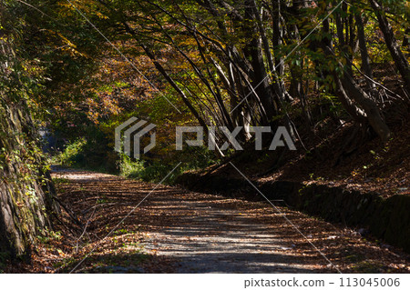 群馬縣安中市的秋天 - 紅葉的 Abt 路 113045006