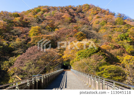 Autumn in Annaka, Gunma Prefecture: Autumn leaves on the Abt Road, Usui Third Bridge (Megane Bridge) Autumn in Annaka, Gunma Prefecture: Autumn leaves on the Abt Road, Usui Third Bridge (Megane Bridge) 113045118