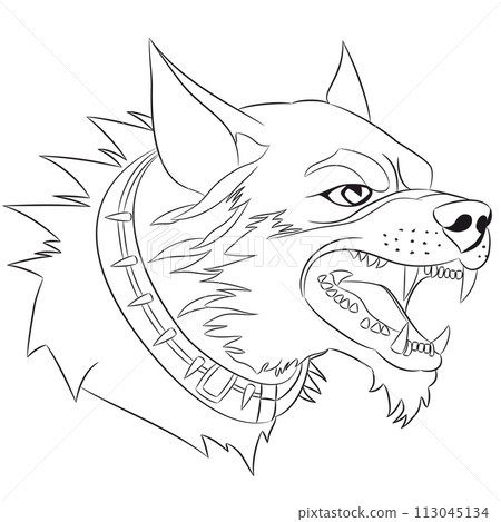 The head of an angry dog in a collar with spikes and bared fangs isolated on a white background. 113045134