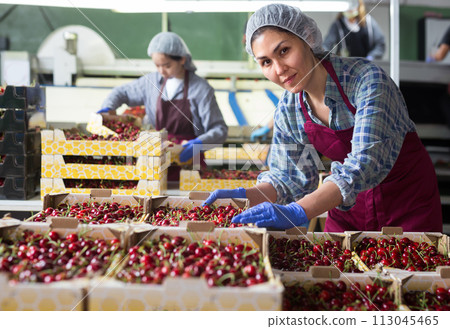 Women are working in warehouse 113045465