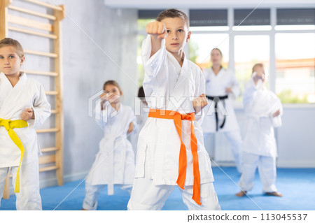Young karate students gather in dojo Young karate students gather in dojo 113045537