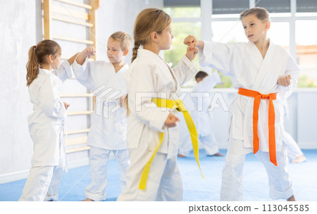 Karate students engage in sparring 113045585