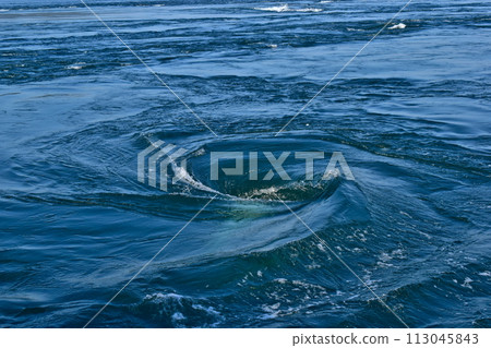 Tokushima Hyogo whirlpool whirlpool cruise whirlpool cruise Naruto Strait Onaruto Bridge 113045843