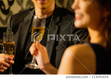 Couple drinking champagne 113045858