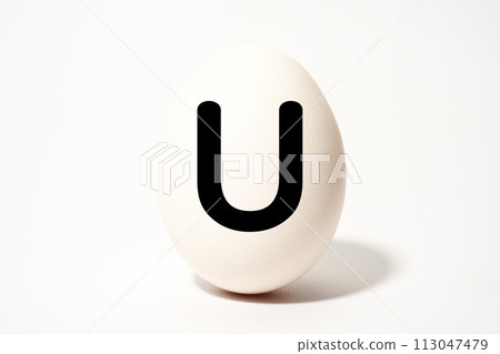 White egg symbol character image material White egg symbol character image material 113047479