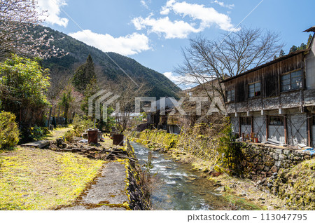Spring scenery of Kyoto Rakuhoku Kurama River 113047795