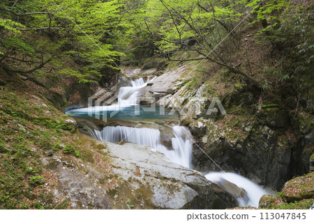 Nishizawa Valley Nishizawa Valley 113047845