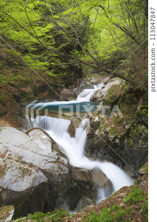 Nishizawa Valley 113047847