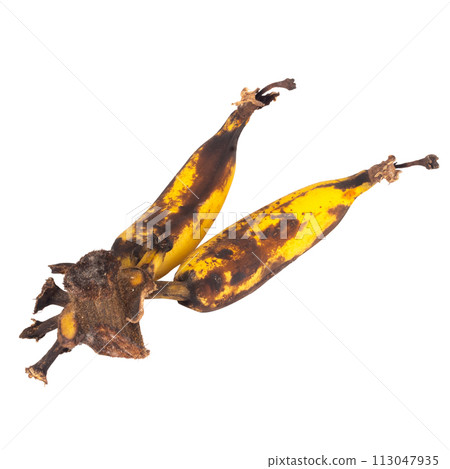 banana old isolated on white background banana old isolated on white background 113047935
