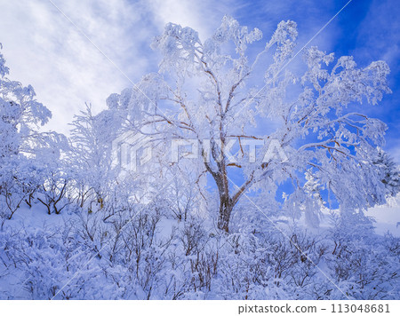 The world of fog and ice The world of fog and ice 113048681