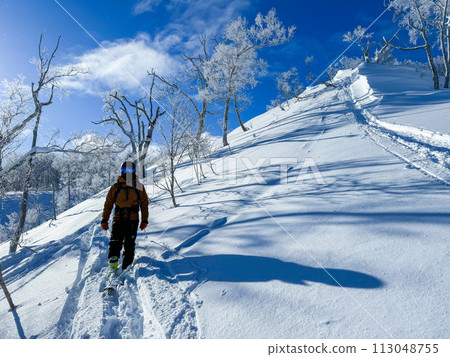 Backcountry skiing on fresh snow with beautiful blue skies Backcountry skiing on fresh snow with beautiful blue skies 113048755
