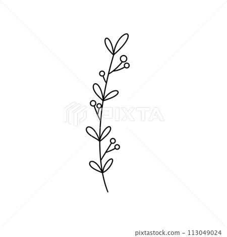 A thin, long, leafy stem with a few small flowers on it 113049024