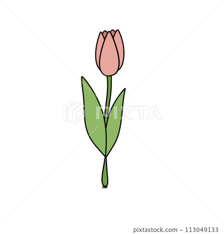 A pink flower with green leaves 113049133