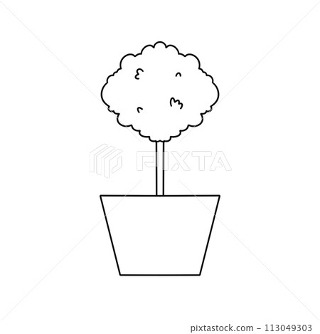 A small tree is in a pot A small tree is in a pot 113049303