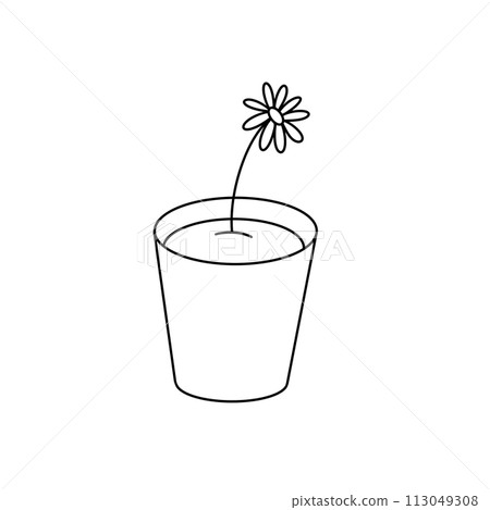 A flower is in a cup of water A flower is in a cup of water 113049308
