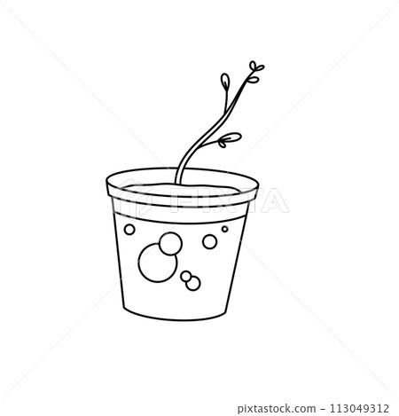 A plant is growing in a small plastic container A plant is growing in a small plastic container 113049312
