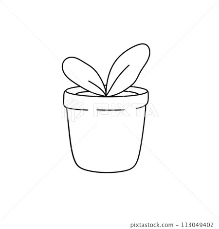 A potted plant with a leafy green stem and a leafy green leaf 113049402