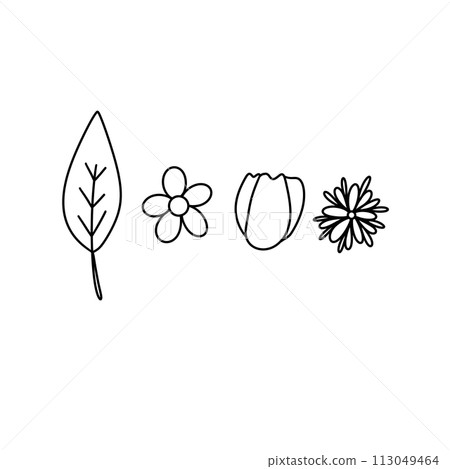 Four different flowers are drawn in black and white 113049464