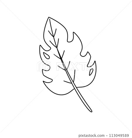 A leaf with a hole in it A leaf with a hole in it 113049589