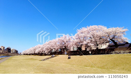 金澤的西川、櫻花與藍天 金澤的西川、櫻花與藍天 113050243