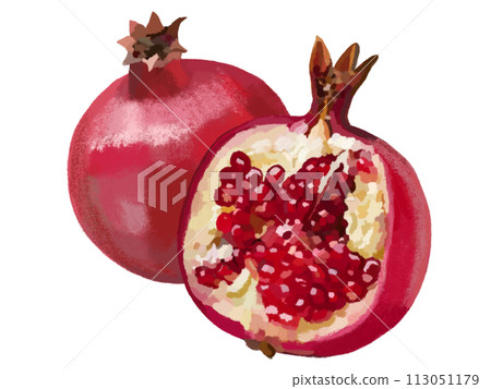Pomegranate (1 piece and cross section) Pomegranate (1 piece and cross section) 113051179