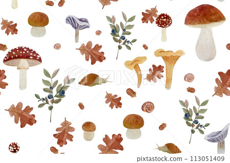 Wild mushroom watercolor seamless pattern isolated on white. Porcini, Chanterelle, Fly agaric and Collybia nuda Wild mushroom watercolor seamless pattern isolated on white. Porcini, Chanterelle, Fly agaric and Collybia nuda 113051409