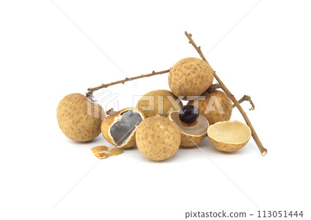 Longan fruits on branch isolated on white background 113051444