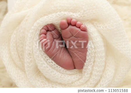 The tiny foot of a newborn baby. Soft feet of a new born in a wool white blanket. Close up of toes, heels and feet of a newborn. Macro photography. The tiny foot of a newborn baby. Soft feet of a new born in a wool white blanket. Close up of toes, heels and feet of a newborn. Macro photography. 113051588